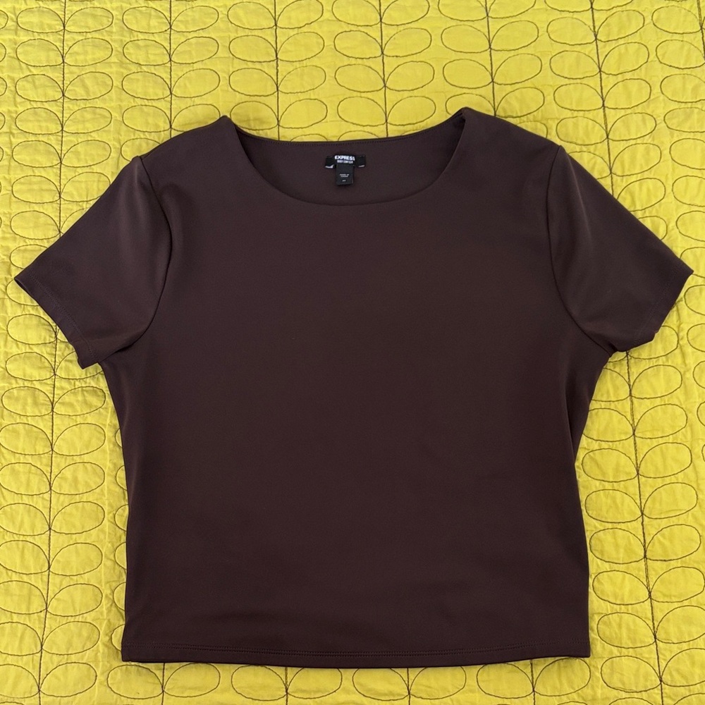 Express Brown Short Sleeve Crop Top
